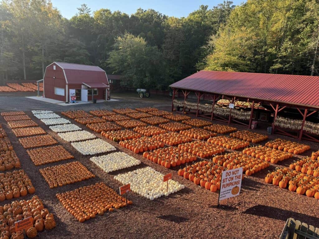 Fall Activities in Middle Georgia