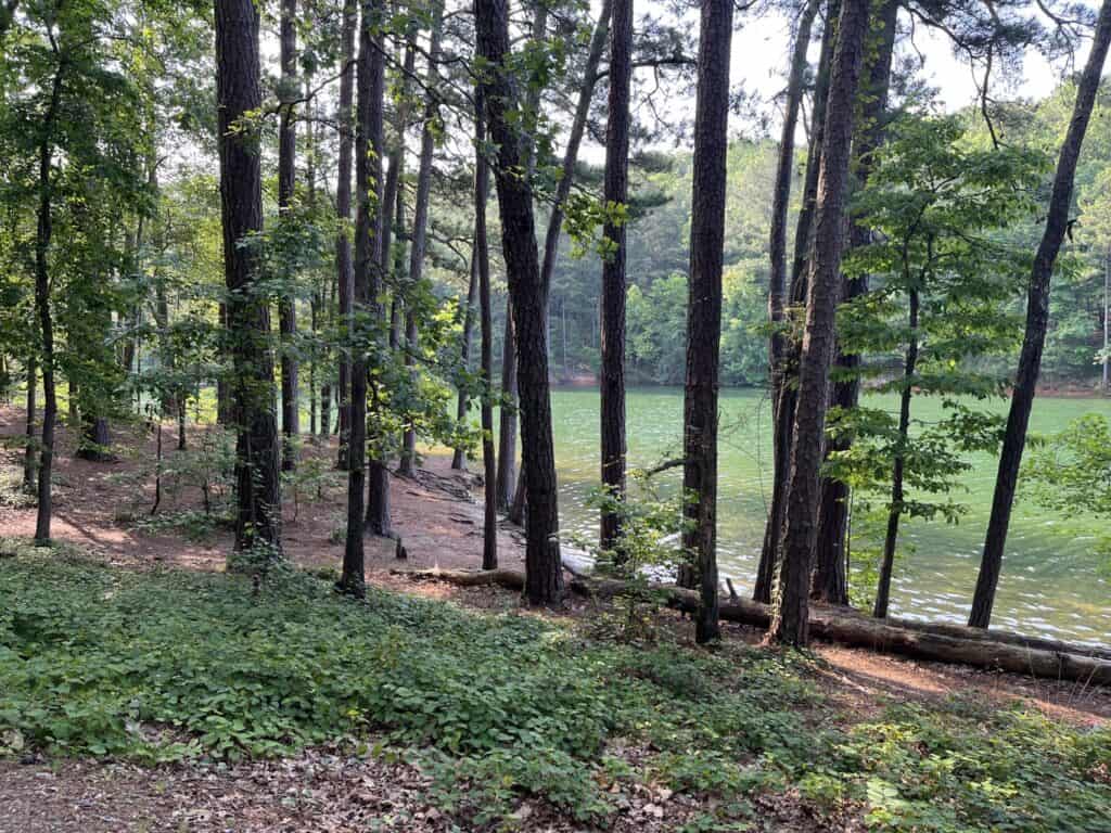 Red Top Mountain State Park in Georgia
