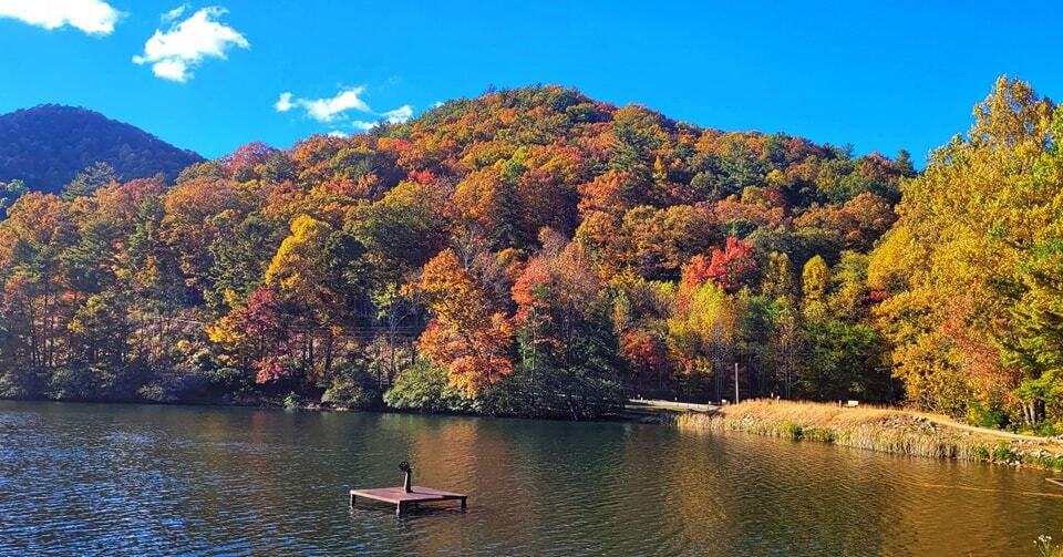 Vogel State Park in Georgia